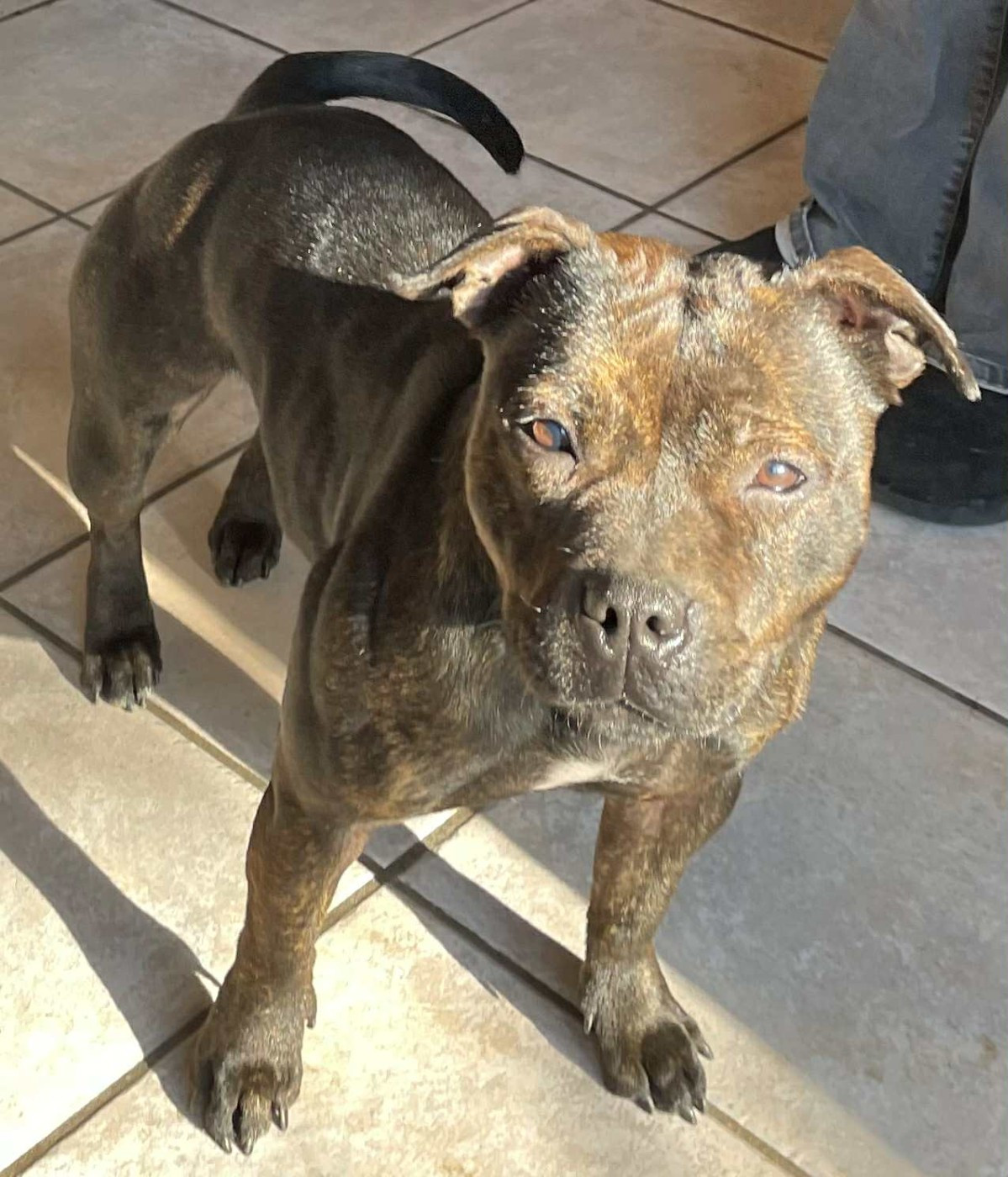 Very bad trip Du Domaine De Roujus